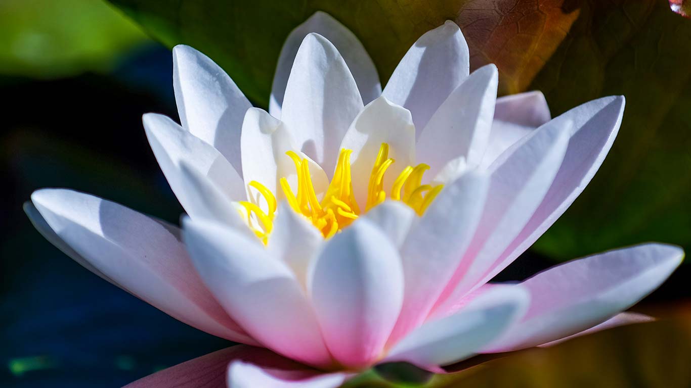 The Importance of Habitual Practice